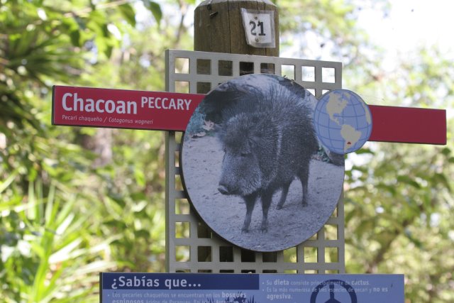 At Los Angeles Zoo
(Click on the picture for the full-size version)