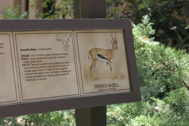 At Los Angeles Zoo
(Click on the picture for the full-size version)