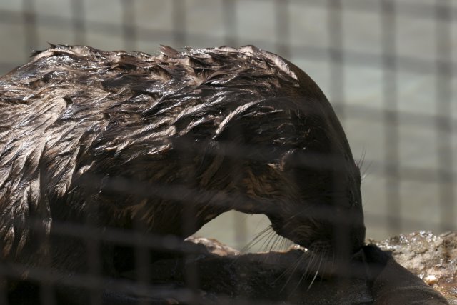 At Los Angeles Zoo
(Click on the picture for the full-size version)