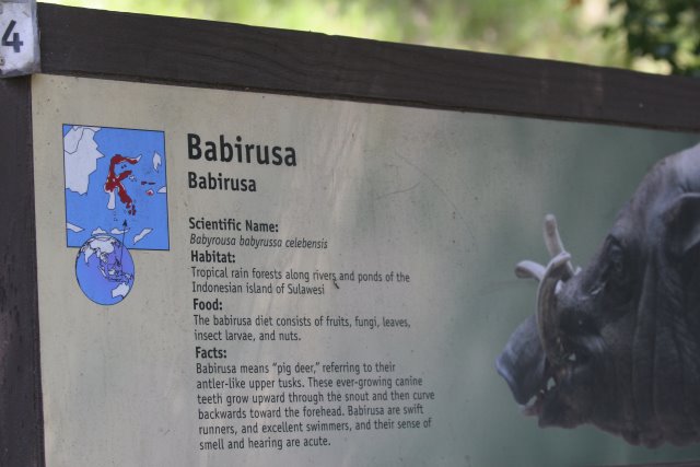 At Los Angeles Zoo
(Click on the picture for the full-size version)