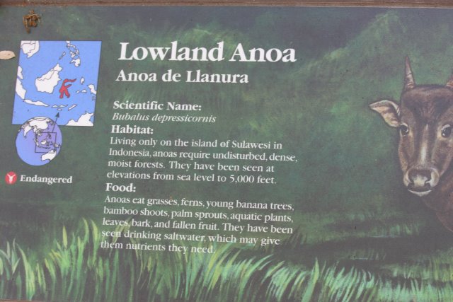 At Los Angeles Zoo
(Click on the picture for the full-size version)