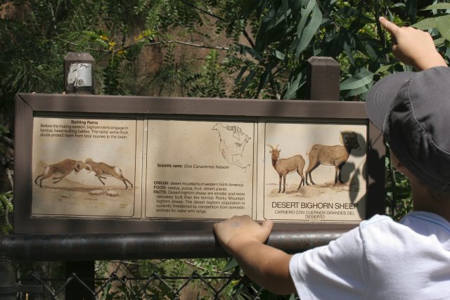 At Los Angeles Zoo
(Click on the picture for the full-size version)