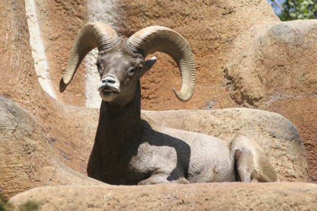 At Los Angeles Zoo
(Click on the picture for the full-size version)