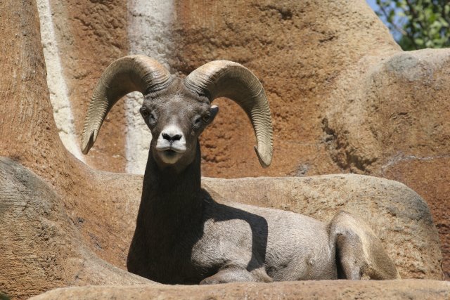 At Los Angeles Zoo
(Click on the picture for the full-size version)