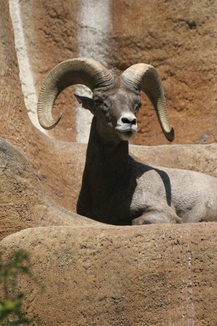 At Los Angeles Zoo
(Click on the picture for the full-size version)