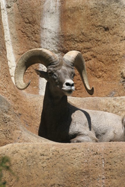 At Los Angeles Zoo
(Click on the picture for the full-size version)