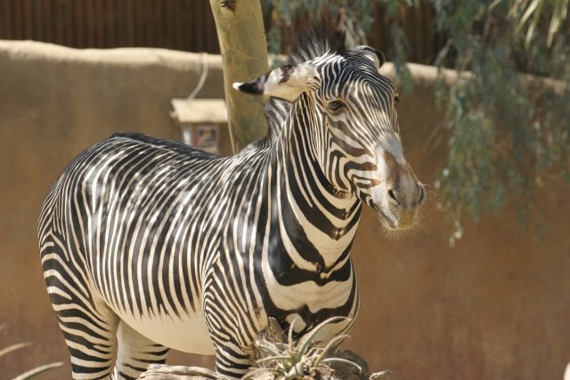 At Los Angeles Zoo
(Click on the picture for the full-size version)