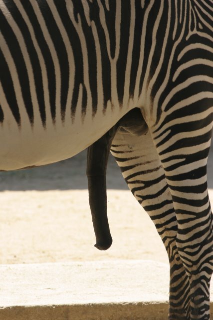 At Los Angeles Zoo
(Click on the picture for the full-size version)