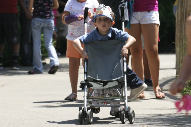 At Los Angeles Zoo
(Click on the picture for the full-size version)