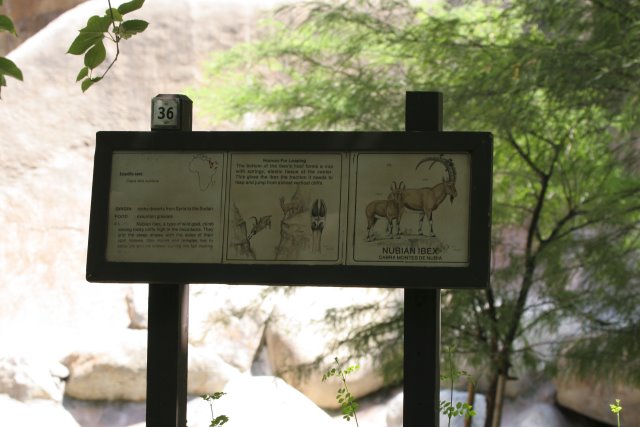 At Los Angeles Zoo
(Click on the picture for the full-size version)