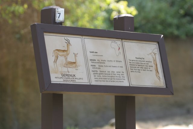 At Los Angeles Zoo
(Click on the picture for the full-size version)