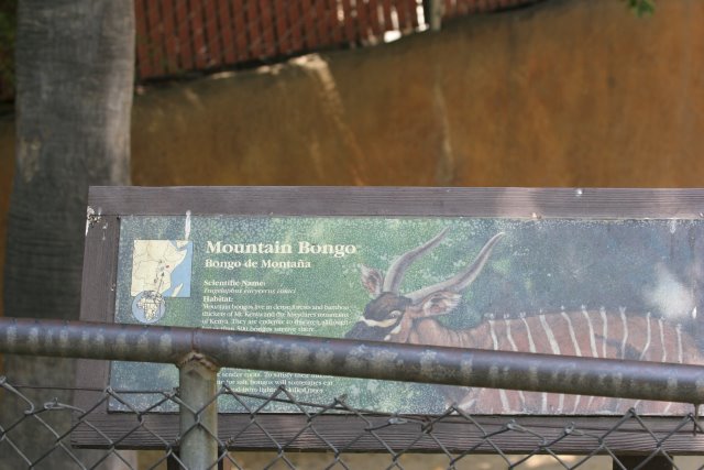 At Los Angeles Zoo
(Click on the picture for the full-size version)