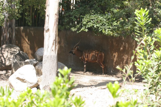 At Los Angeles Zoo
(Click on the picture for the full-size version)