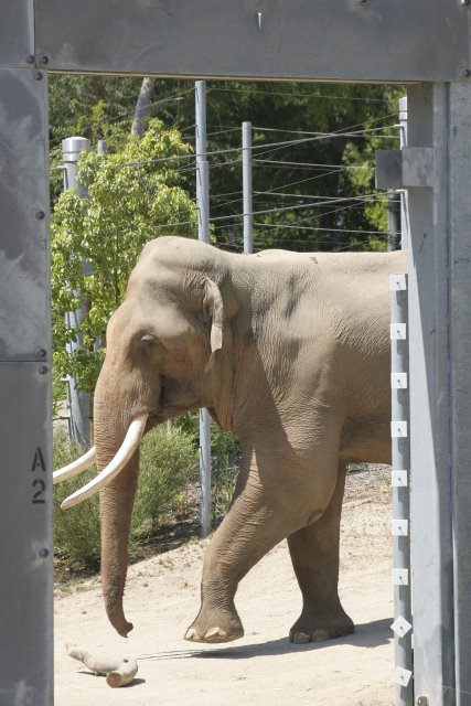 At Los Angeles Zoo
(Click on the picture for the full-size version)