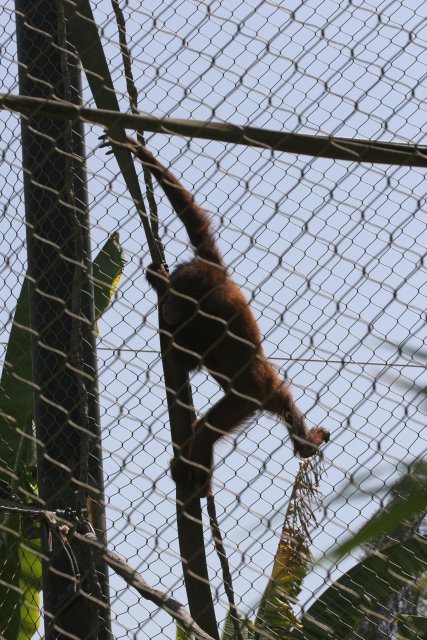 At Los Angeles Zoo
(Click on the picture for the full-size version)