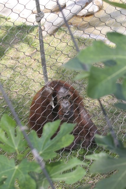 At Los Angeles Zoo
(Click on the picture for the full-size version)