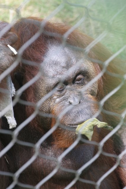 At Los Angeles Zoo
(Click on the picture for the full-size version)