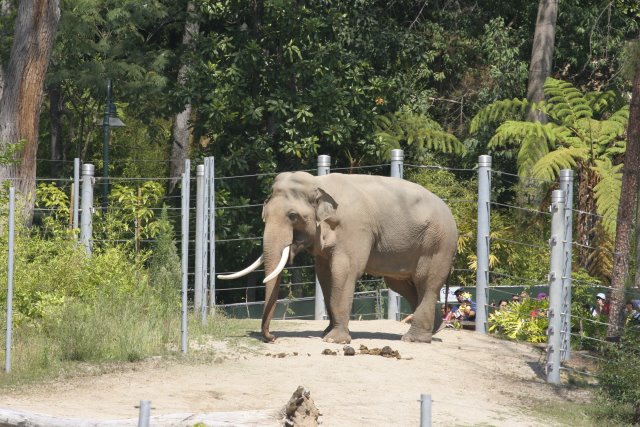 At Los Angeles Zoo
(Click on the picture for the full-size version)