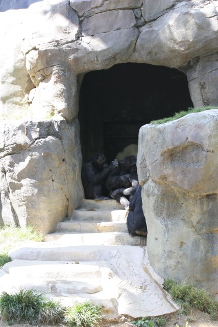 At Los Angeles Zoo
(Click on the picture for the full-size version)