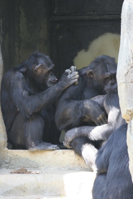 At Los Angeles Zoo
(Click on the picture for the full-size version)