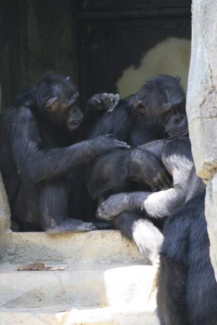 At Los Angeles Zoo
(Click on the picture for the full-size version)
