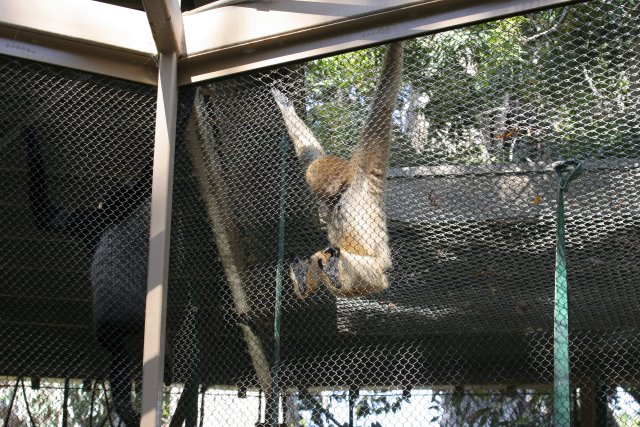 At Los Angeles Zoo
(Click on the picture for the full-size version)