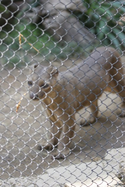 At Los Angeles Zoo
(Click on the picture for the full-size version)