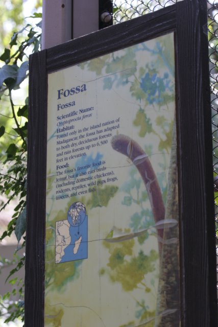 At Los Angeles Zoo
(Click on the picture for the full-size version)