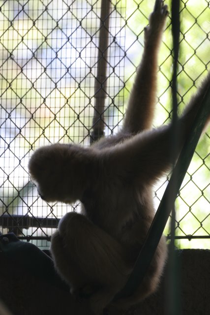 At Los Angeles Zoo
(Click on the picture for the full-size version)