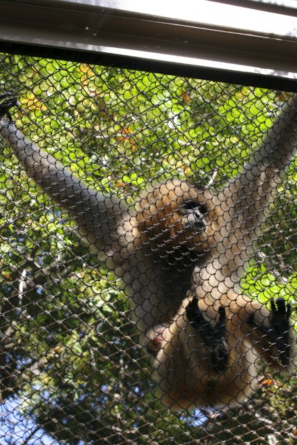 At Los Angeles Zoo
(Click on the picture for the full-size version)