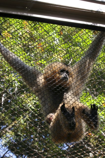 At Los Angeles Zoo
(Click on the picture for the full-size version)