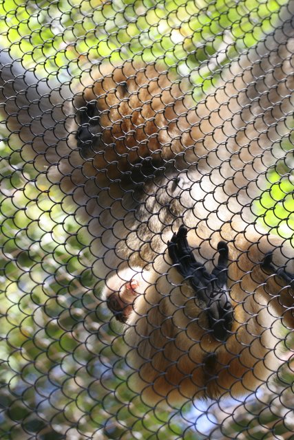 At Los Angeles Zoo
(Click on the picture for the full-size version)