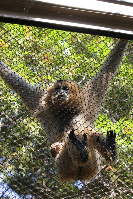 At Los Angeles Zoo
(Click on the picture for the full-size version)