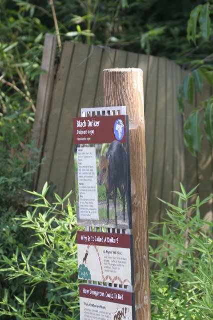 At Los Angeles Zoo
(Click on the picture for the full-size version)