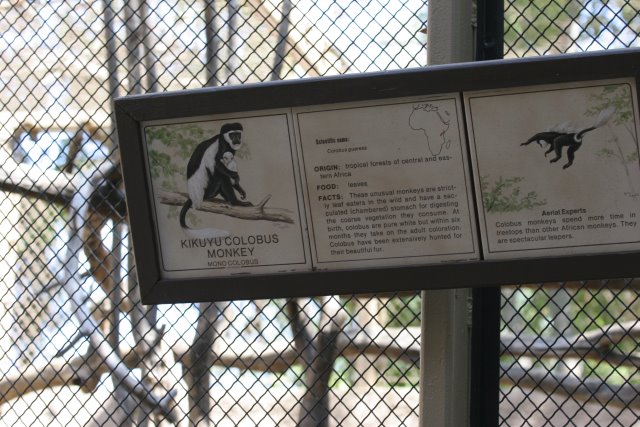 At Los Angeles Zoo
(Click on the picture for the full-size version)