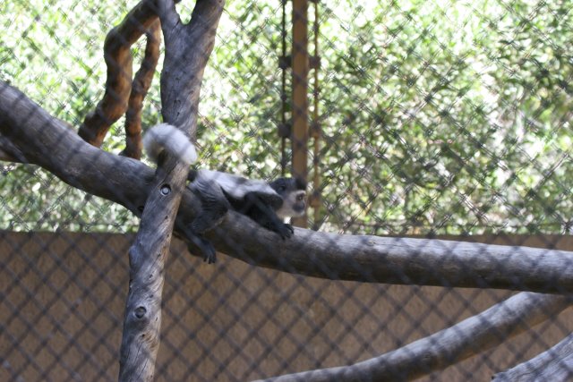At Los Angeles Zoo
(Click on the picture for the full-size version)