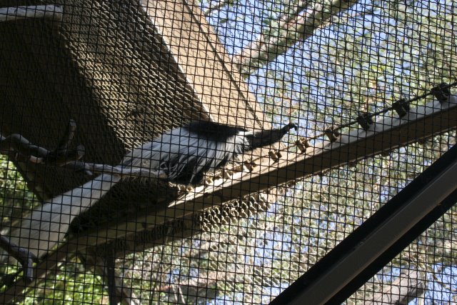 At Los Angeles Zoo
(Click on the picture for the full-size version)