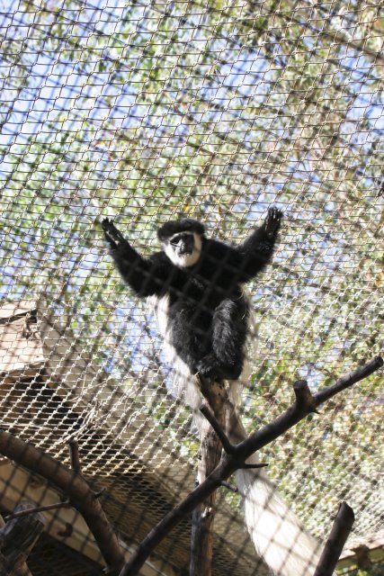 At Los Angeles Zoo
(Click on the picture for the full-size version)