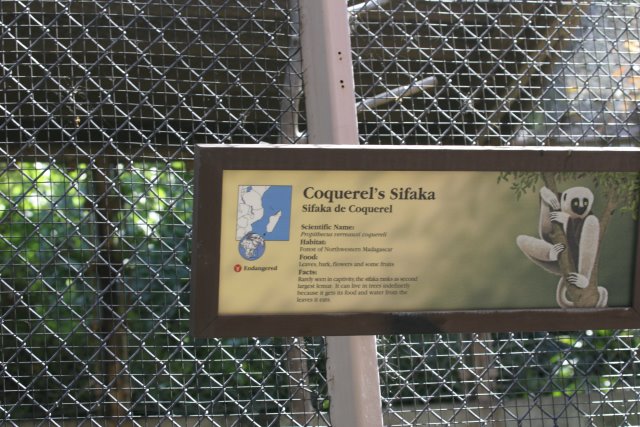 At Los Angeles Zoo
(Click on the picture for the full-size version)