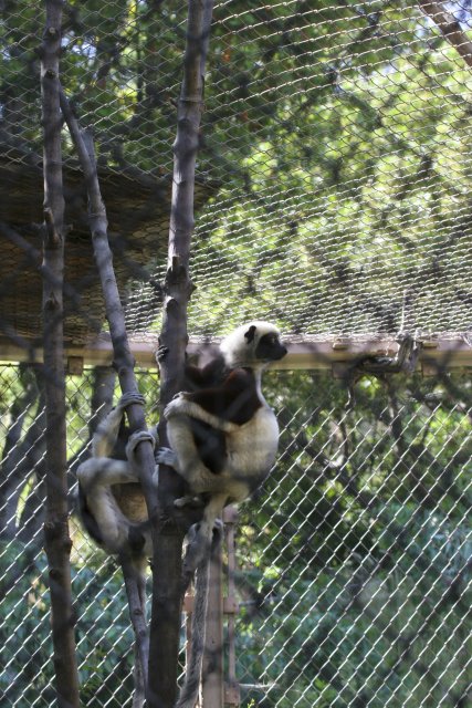 At Los Angeles Zoo
(Click on the picture for the full-size version)