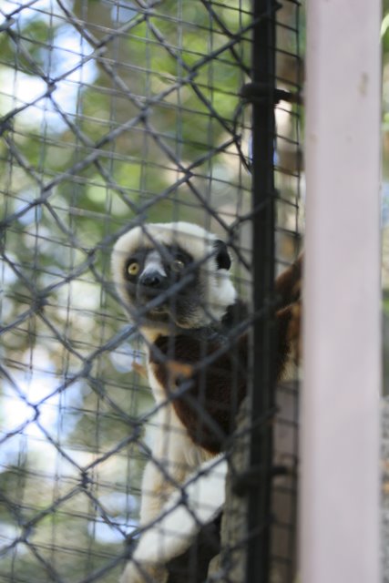 At Los Angeles Zoo
(Click on the picture for the full-size version)