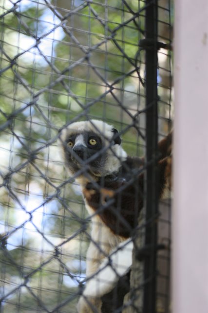At Los Angeles Zoo
(Click on the picture for the full-size version)