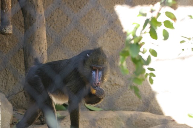 At Los Angeles Zoo
(Click on the picture for the full-size version)