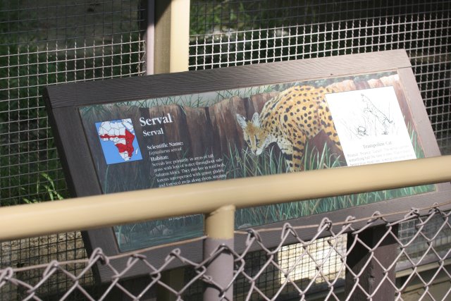 At Los Angeles Zoo
(Click on the picture for the full-size version)