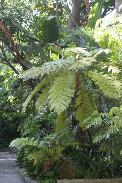 At Los Angeles Zoo
(Click on the picture for the full-size version)