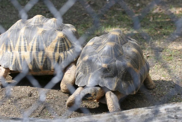 At Los Angeles Zoo
(Click on the picture for the full-size version)