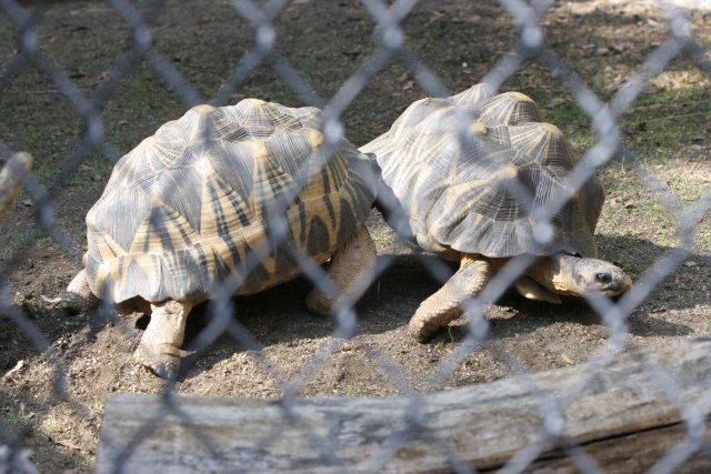 At Los Angeles Zoo
(Click on the picture for the full-size version)