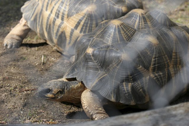 At Los Angeles Zoo
(Click on the picture for the full-size version)