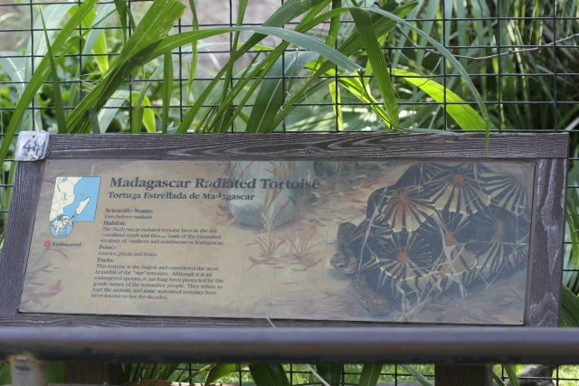 At Los Angeles Zoo
(Click on the picture for the full-size version)