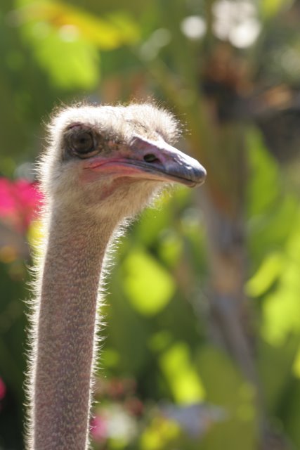 At Los Angeles Zoo
(Click on the picture for the full-size version)